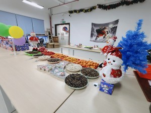 “多國(guó)風(fēng)采、別具風(fēng)格”的的圣誕節(jié)活動(dòng)